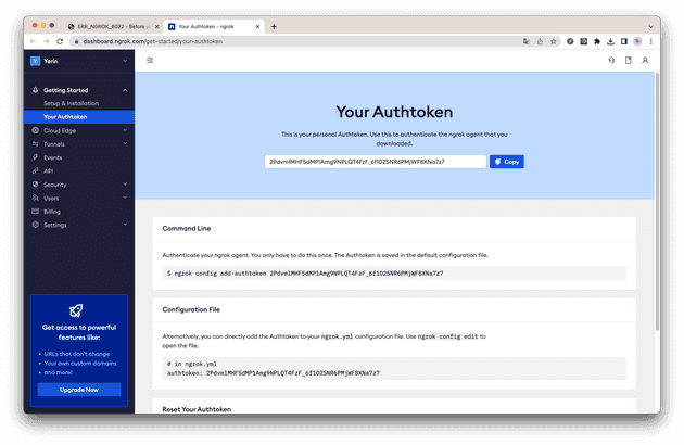 ngrok_auth_setup.png
